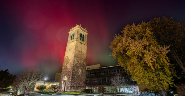 The northern lights (Aurora borealis) glows behind the Carillon Tower at the University of Wisconsin–Madison on Nov. 11, 2025. (Photo by Xiaomeng Shen / UW–Madison)