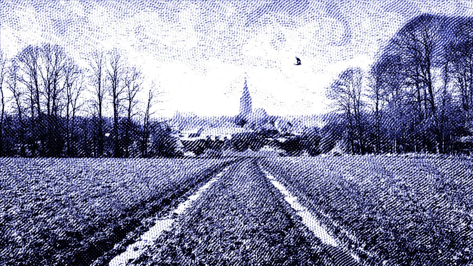 A promotional photo for the short film From Wenters to Wisconsin.