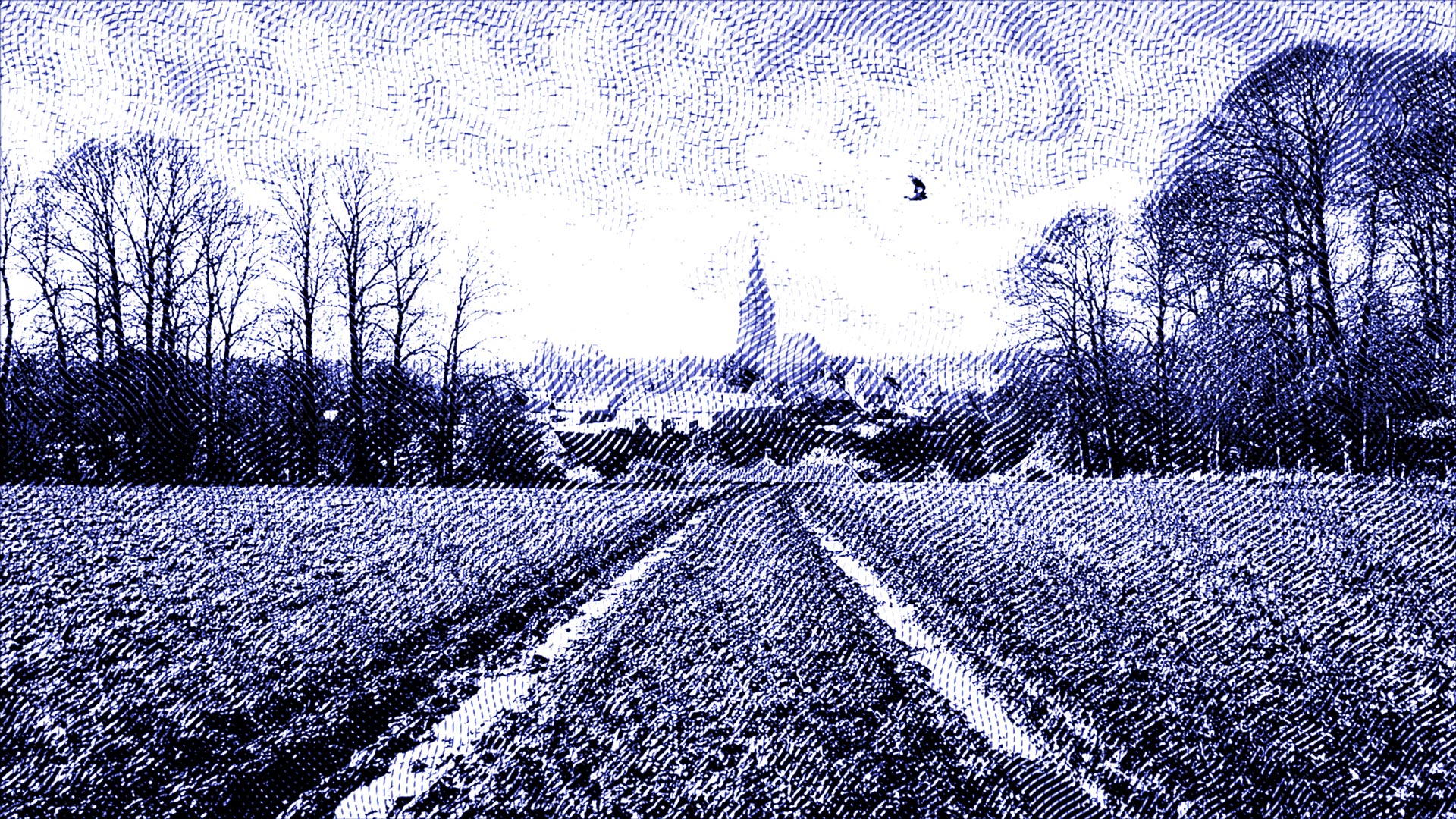 A promotional photo for the short film From Wenters to Wisconsin.